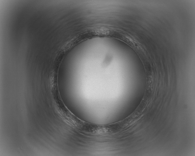 X0000073520600200608281735