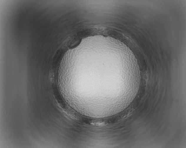 X0000073520602200608281735