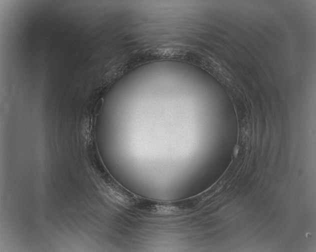 X0000073520605200608281735