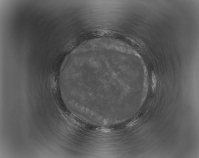 X0000073520607200608281735