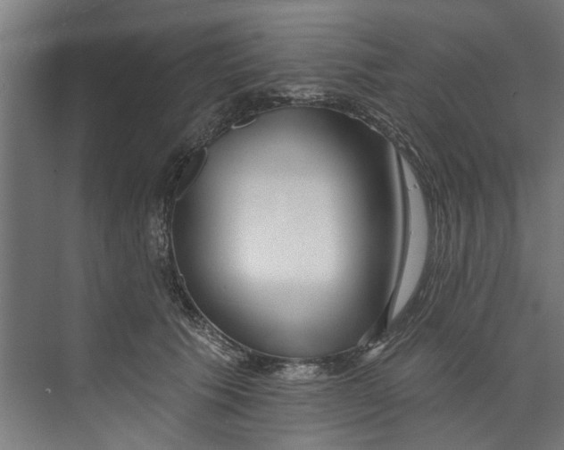 X0000073520609200608281735