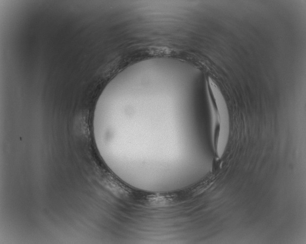 X0000073520616200608281735