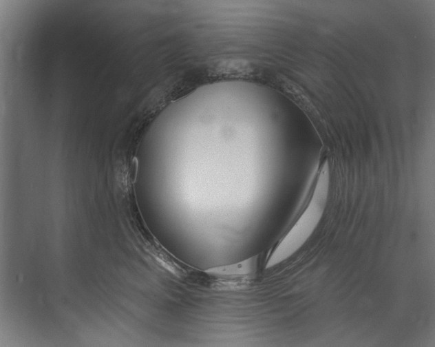 X0000073520617200608281735