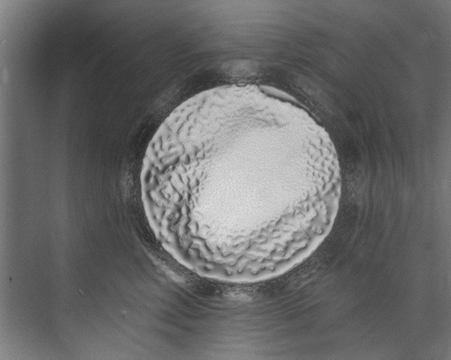 X0000073520618200608281735