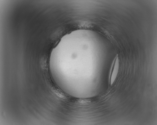 X0000073520619200608281735