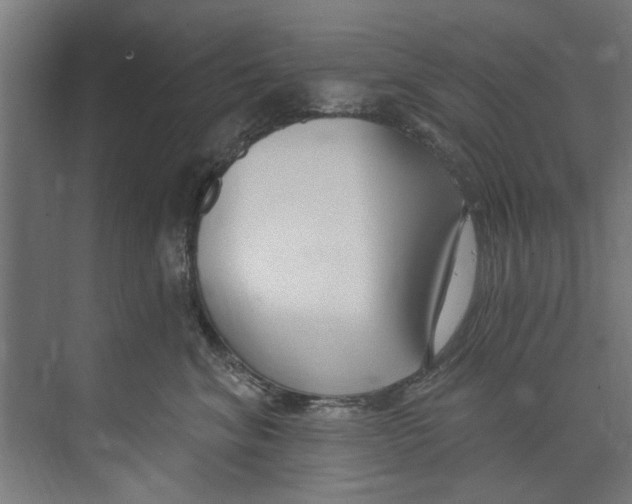 X0000073520620200608281735