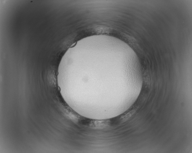 X0000073520622200608281735