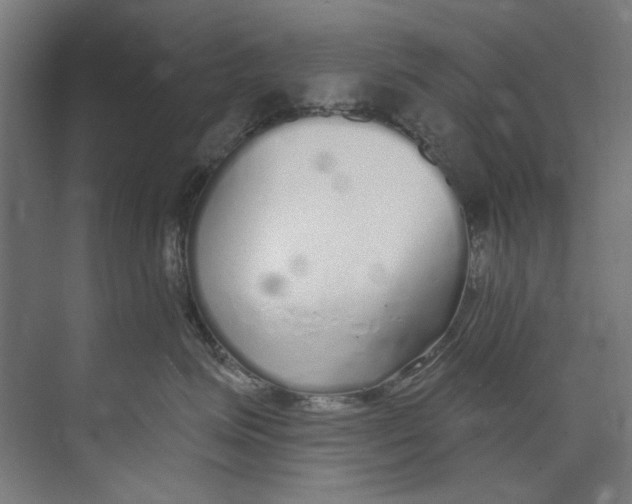 X0000073520623200608281735