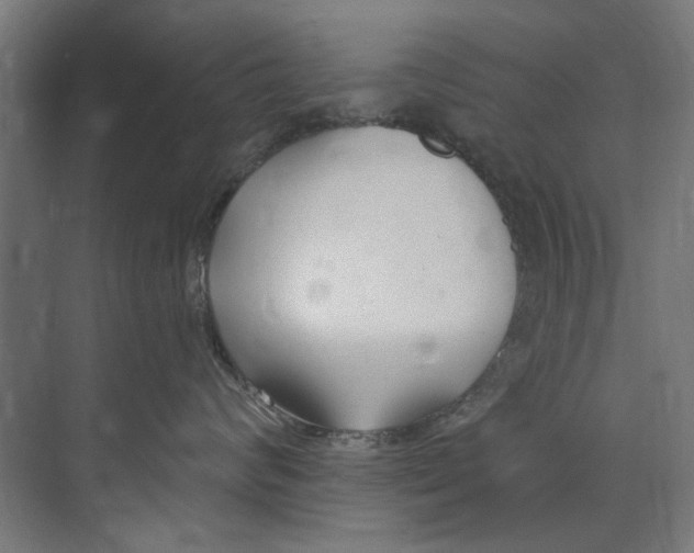 X0000073520624200608281735