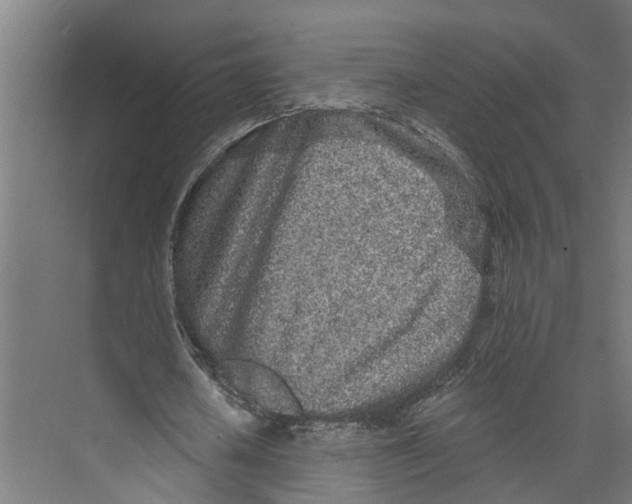 X0000073520626200608281734