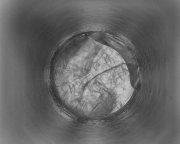 X0000073520627200608281734