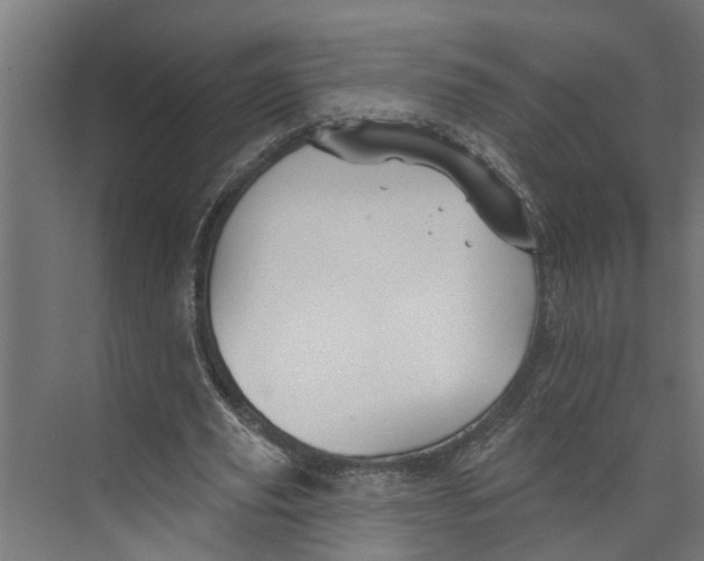 X0000073520629200608281734