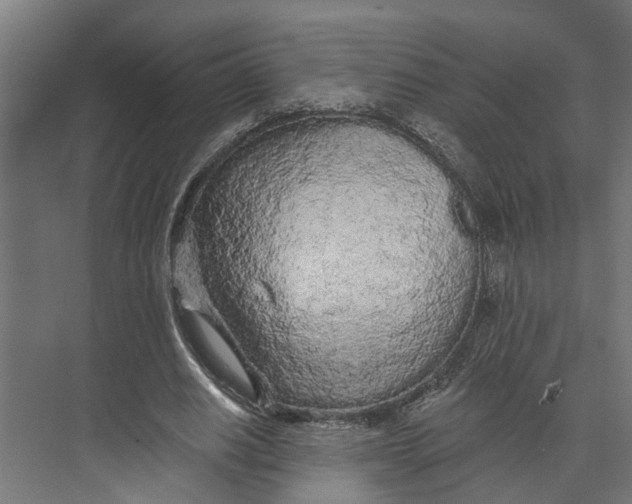 X0000073520630200608281734