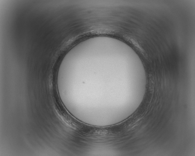 X0000073520631200608281734