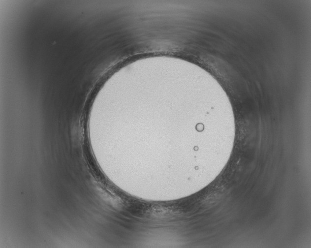 X0000073520632200608281734