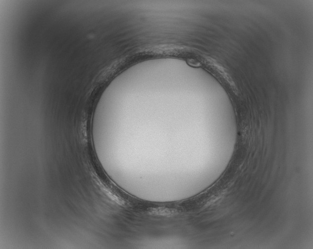 X0000073520633200608281734