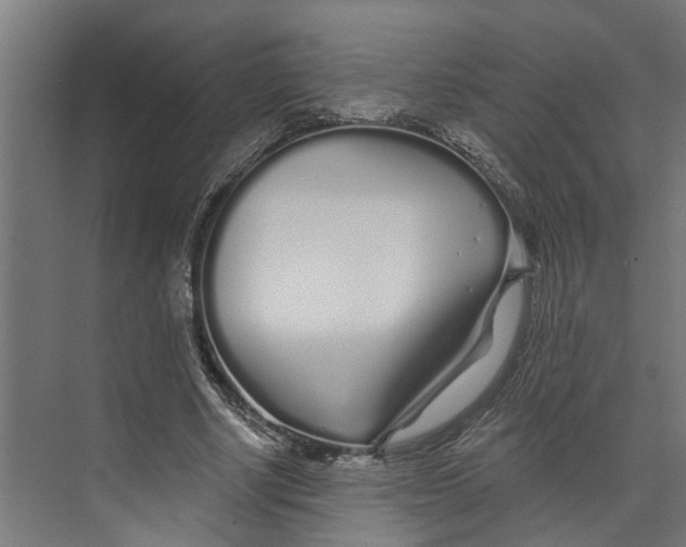 X0000073520634200608281734