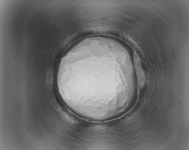 X0000073520637200608281734