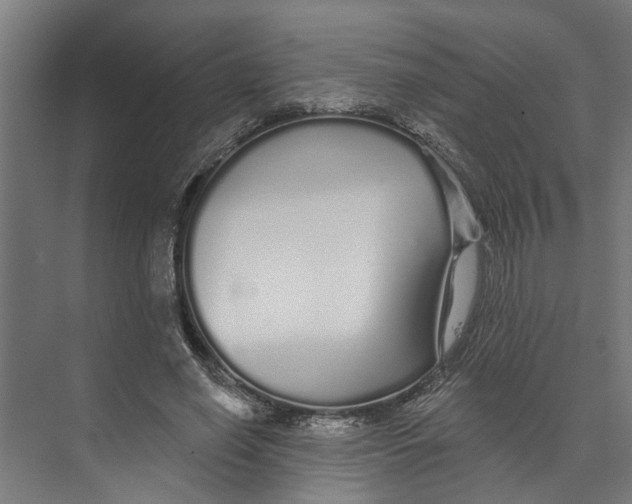 X0000073520638200608281734