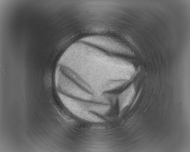 X0000073520640200608281734