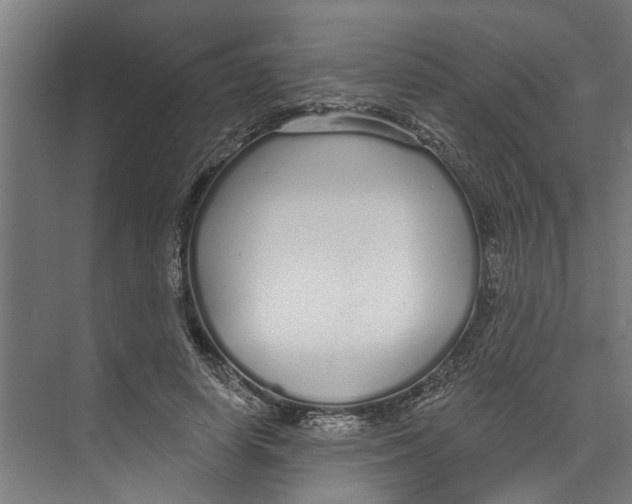 X0000073520642200608281734