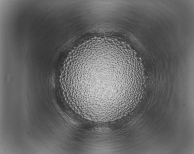 X0000073520644200608281734