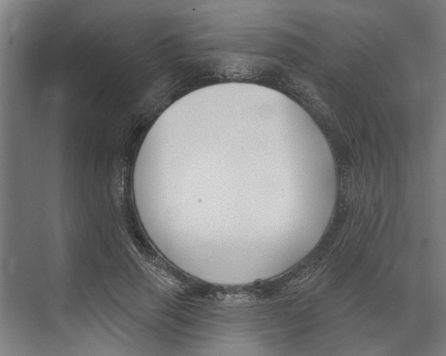 X0000073520645200608281734