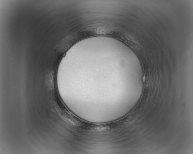 X0000073520646200608281734