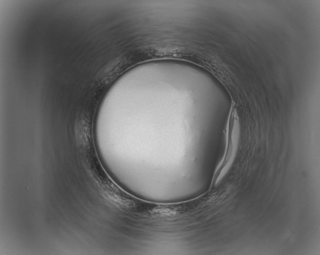 X0000073520648200608281734