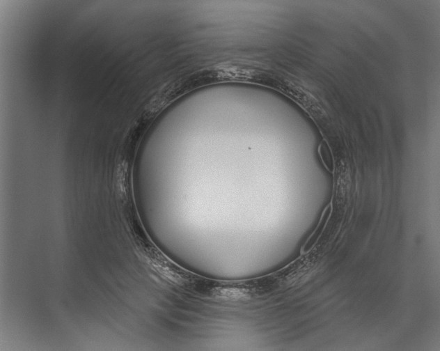 X0000073520649200608281734