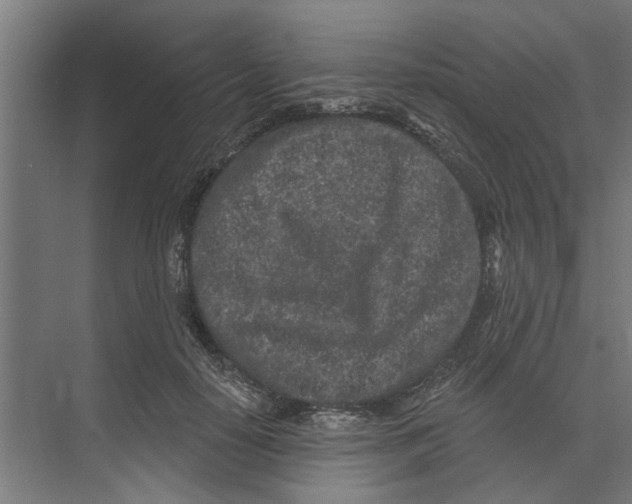 X0000073520650200608281734