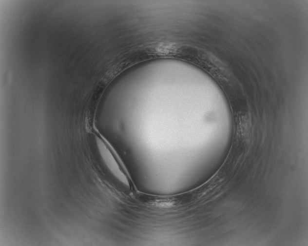 X0000073520651200608281734