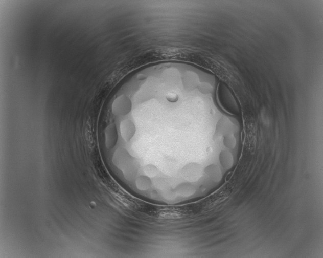 X0000073520653200608281734