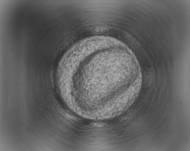 X0000073520654200608281734