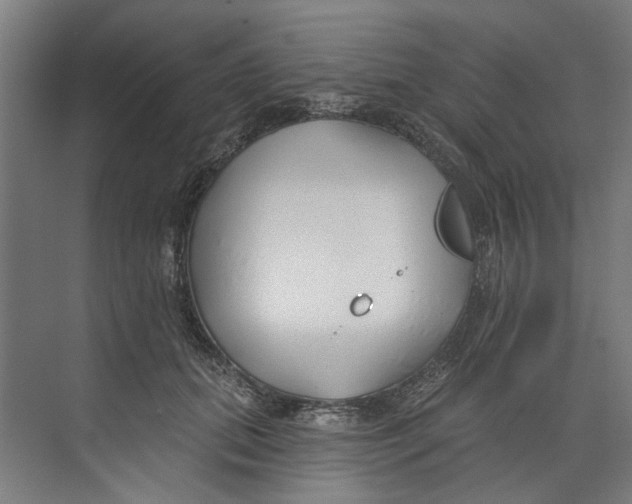 X0000073520655200608281734