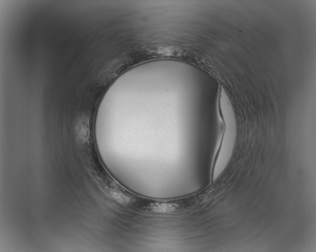 X0000073520656200608281734