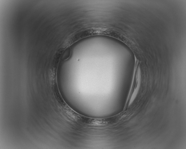 X0000073520657200608281734