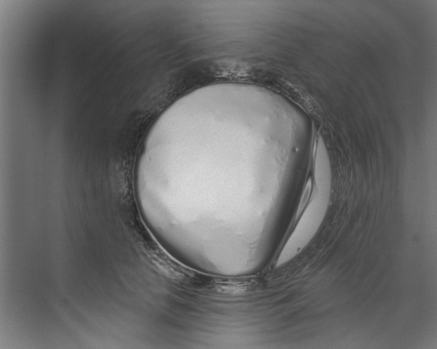 X0000073520658200608281734