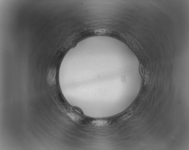 X0000073520660200608281734