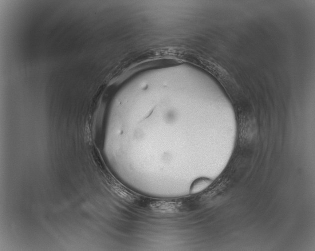 X0000073520661200608281734