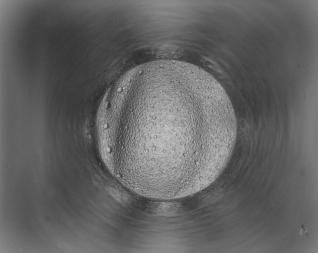 X0000073520663200608281734