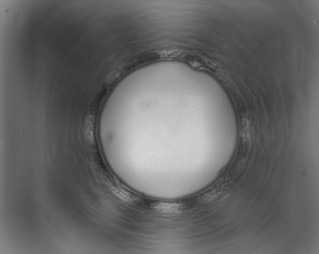 X0000073520664200608281734