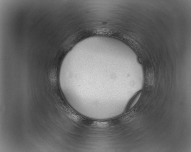 X0000073520665200608281734