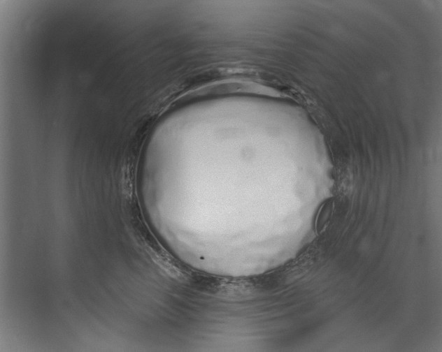 X0000073520666200608281734