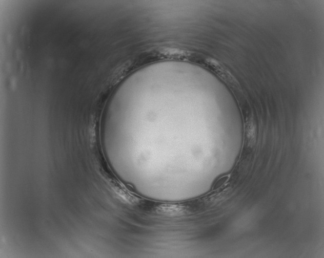 X0000073520668200608281734