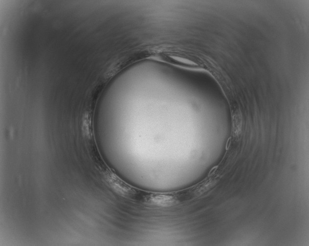 X0000073520669200608281734