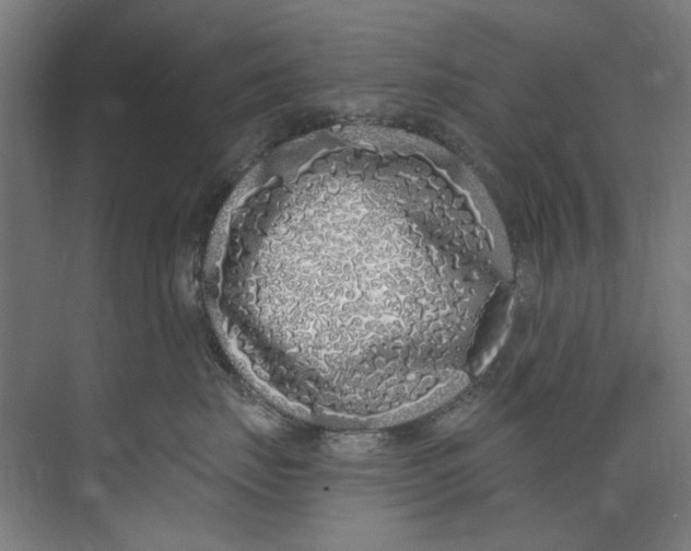 X0000073520671200608281735