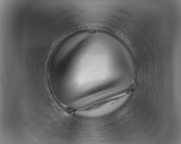 X0000073520673200608281734