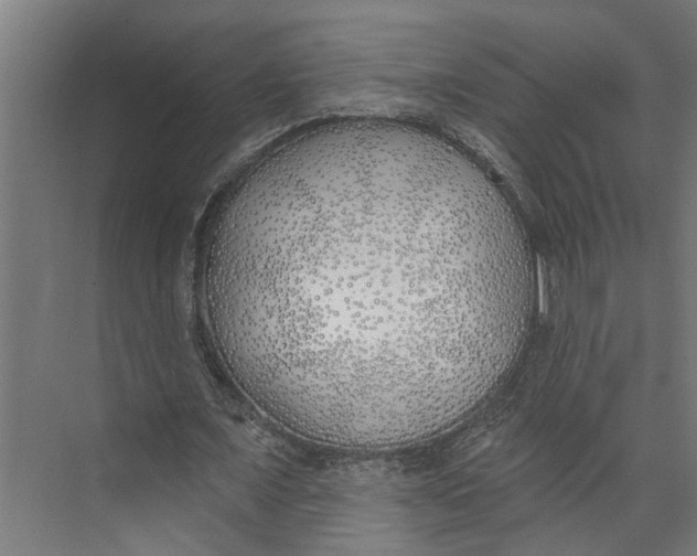 X0000073520675200608281734