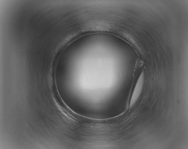 X0000073520677200608281734